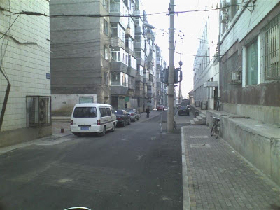 11041012 (Medium).jpg