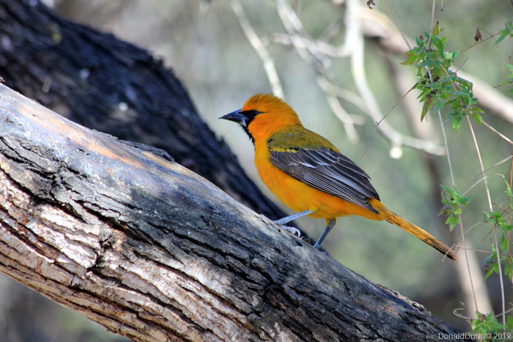 [IMG_2253K%255B1%255D.jpg]