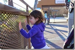 IMG_6444 IMG_6444