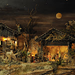 1533-1.jpg