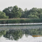 IMG_7912.JPG