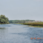 DSCN8187.JPG