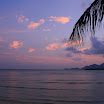 IMG_8965.JPG