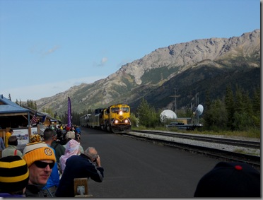 traindenali 130 traindenali 130