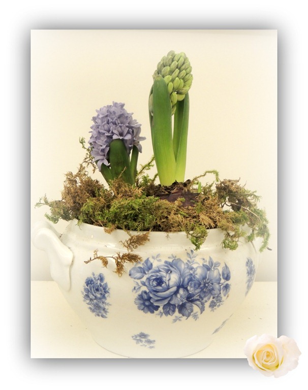 [DSCN0257%255B5%255D.jpg]