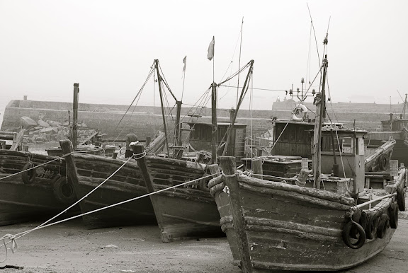 Qingdao - Port de pêche ?