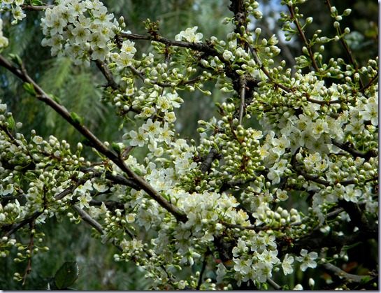 DSCN4614 DSCN4614