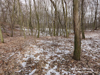 dsc06569.jpg
