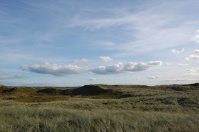 DSC_0329.JPG