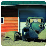 "For Sale" - copyright Sera Hayes