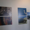 DSC03068.JPG