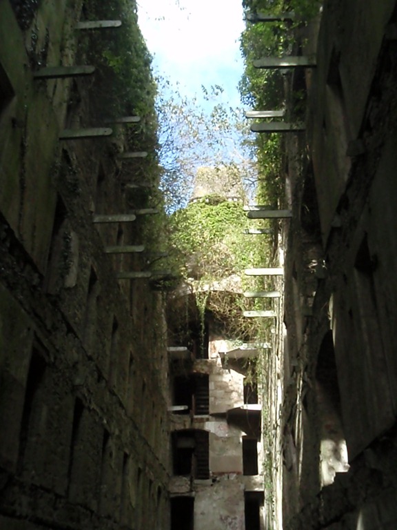 [PA060085%255B3%255D.jpg]
