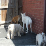 DSCN5069.jpg