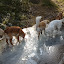 IMAGE_B5767ADD-2CCD-4611-B946-211B39DD63A5.JPG
