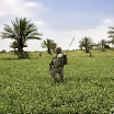 RAMADI, Iraq (June 2, 2006) - Iraqi and U.S. Soldiers from the 28th Infantry Division (attached to I Marine Expeditionary Force) search for terrorists and weapons.jpg