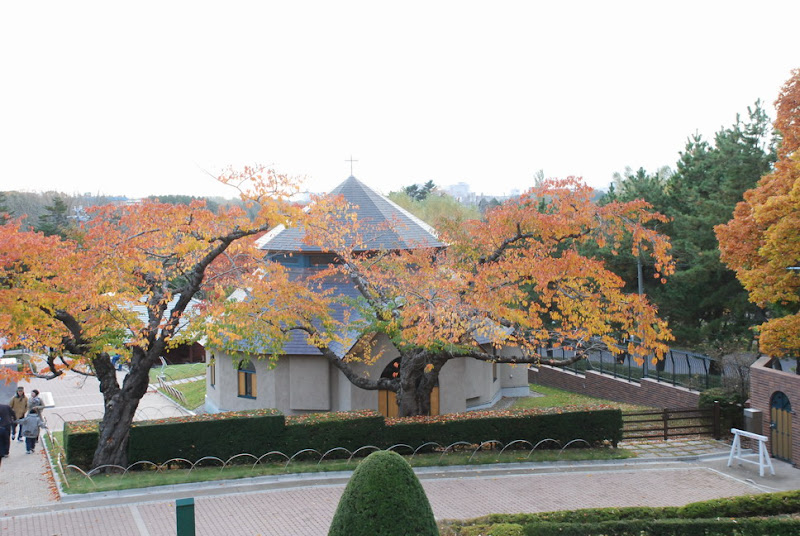 hokkaido_056.jpg