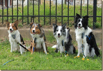 Nikki_Jake_Dandy_Tempo_Apr2012 Nikki_Jake_Dandy_Tempo_Apr2012