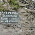 DSC06655.JPG