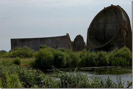 dungeness 091