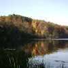 dsc05828.jpg