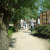 DSCF0146.JPG