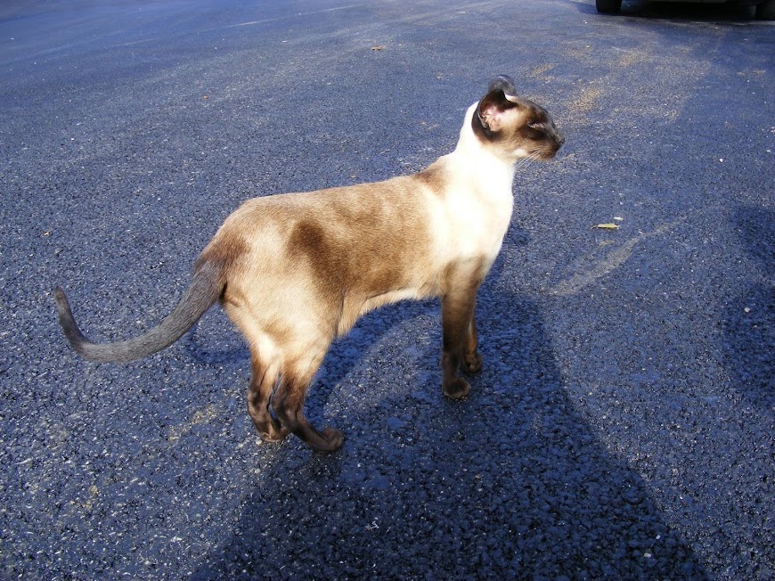 DSCF6525.JPG