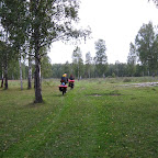Лесная дорога