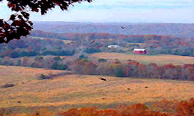Fall leaves over the valley