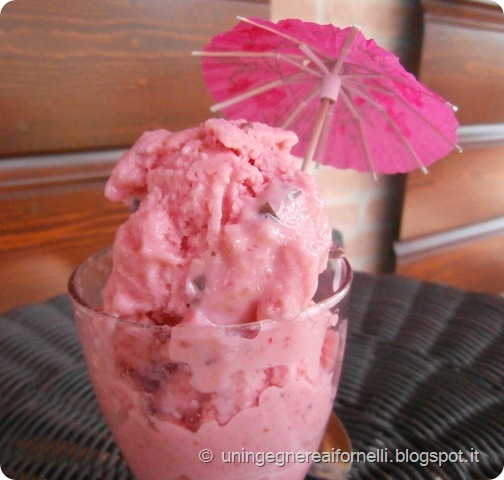 gelato gelatiera susine fragole cioccolato latte kefir gelato gelatiera susine fragole cioccolato latte kefir