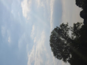 DSC04259.jpg