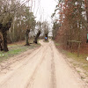 droga z wierzbami dsc05920.jpg