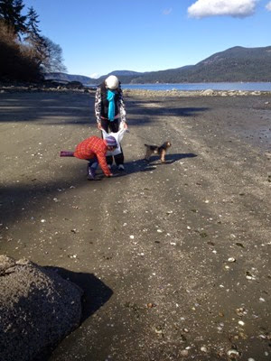 collecting shells