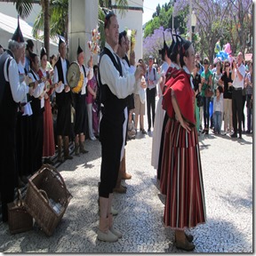 IMG_1247 IMG_1247