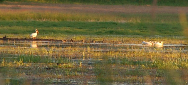 [DSC_6323%255B3%255D.jpg]