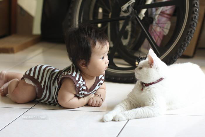 So Sweet Photos : You will smile for sure