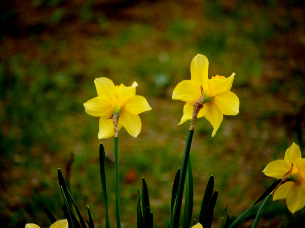 [8%2520May%252011%252008-05-2013%252011-38-42%25204032x3024%255B3%255D.jpg]