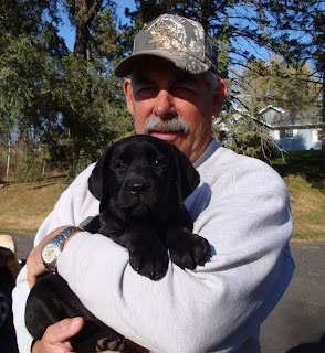 A gorgeous Shiner puppy at 9 weeksOctober 2011