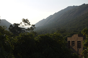 DSC_0010.jpg