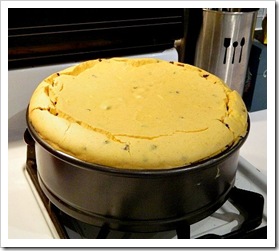 Cheesecake before topping (550x413) (2)