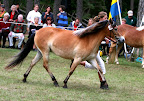 Bus-Maja f 2007 e Bus-Oskar u Lojstas Ina e Juventus