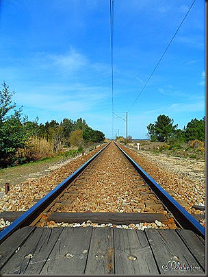 SAM_0039 SAM_0039