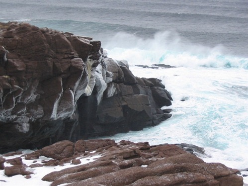 Newfoundland '05 021