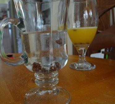 [DANCING%2520RAISINS%255B2%255D.jpg]