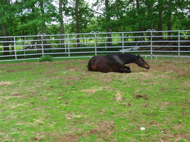 [CIMG7902%255B1%255D.jpg]