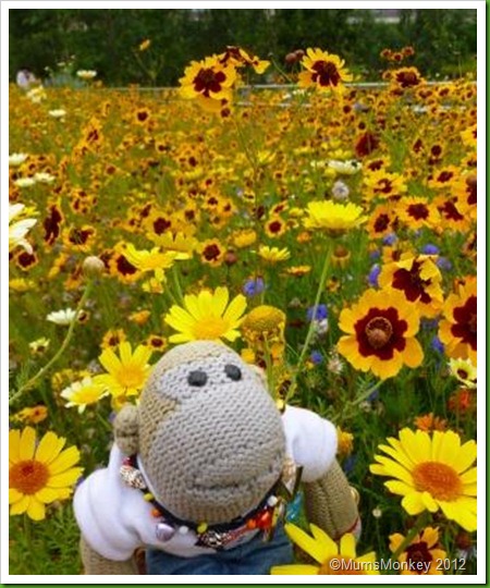 Olympic Park Flowers Nigel