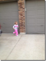IMG_0224 IMG_0224