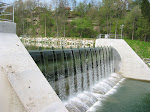 IMG_5501.JPG