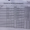 P1020668.JPG