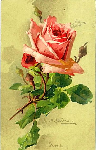 [pink8%255B3%255D.jpg]