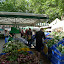 WE à London 28 juillet 012